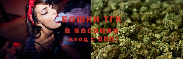 гашик Дмитров