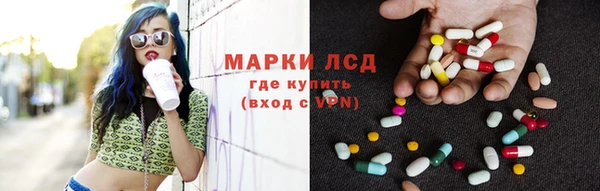 гашик Дмитров