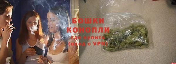 гашик Дмитров