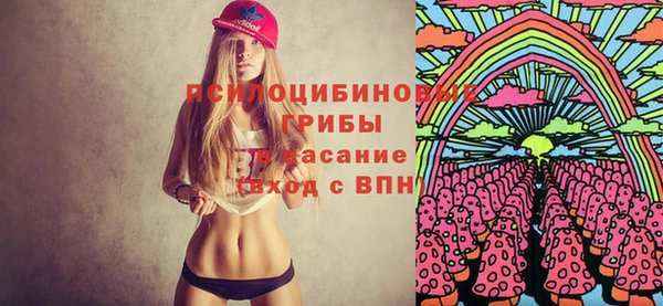 МДМА Гусев