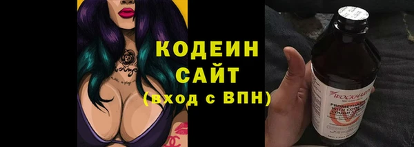 гашик Дмитров