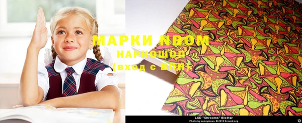 гашик Дмитров