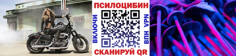 купить закладку  Пойковский  Галлюциногенные грибы MAGIC MUSHROOMS 